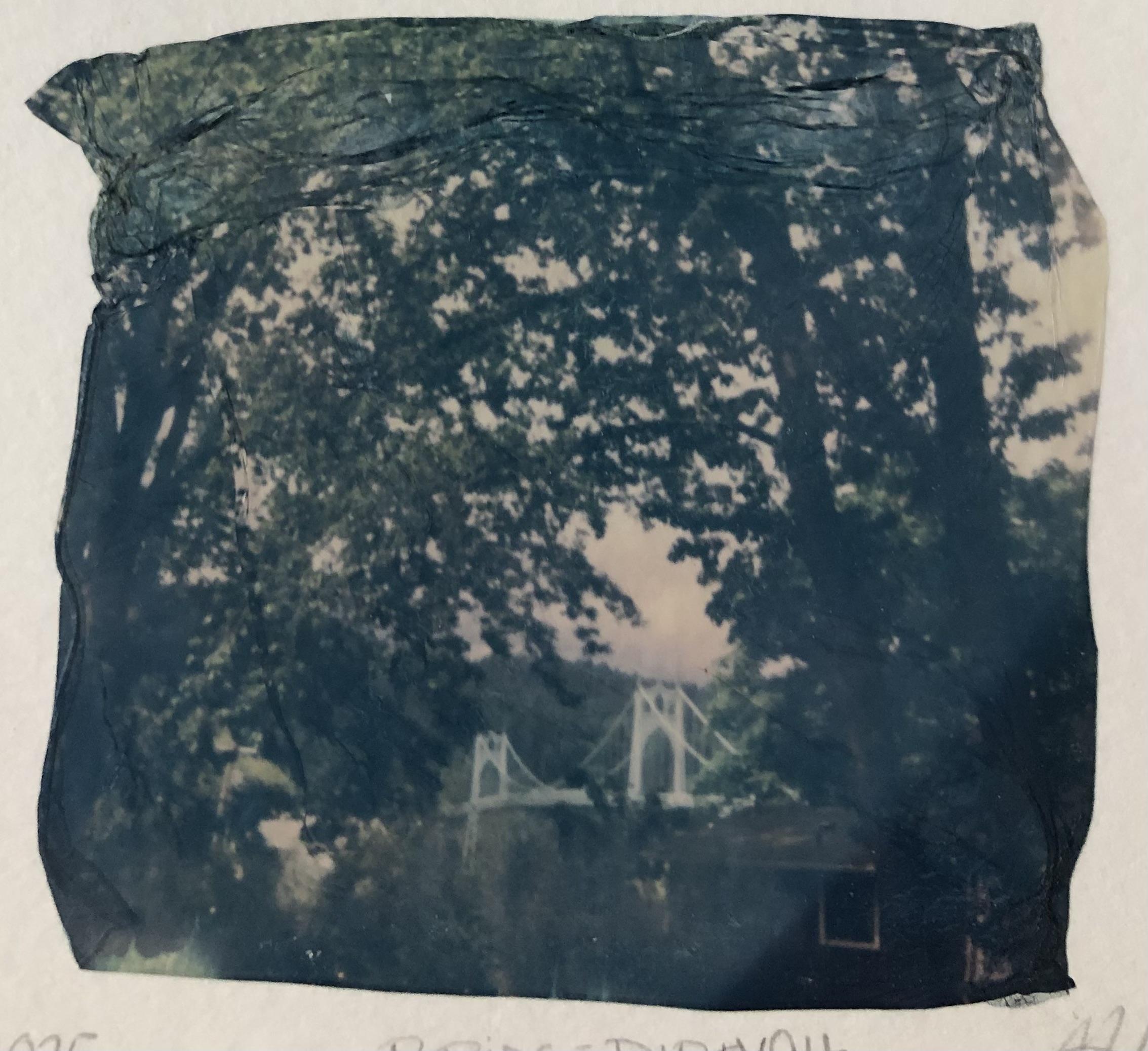 Link Preview Image