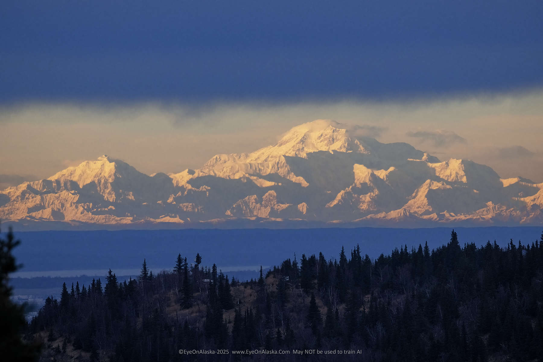 Mount Hunter on the left, and Denali on the right, fill the horizon with dramatic late afternoon light.  A bluish cloud layer covers the top 1/3 of the frame.  A ridge with spruce trees fills the bottom of the frame.